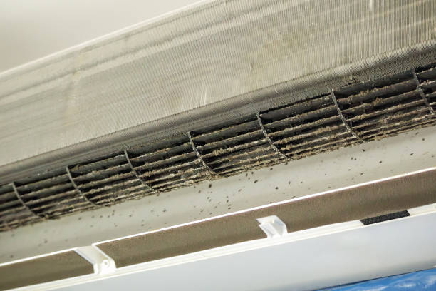 Best Local Air Duct Cleaning Services  in Butler, GA